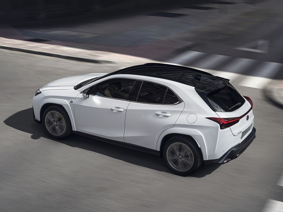 Lexus UX Rear
