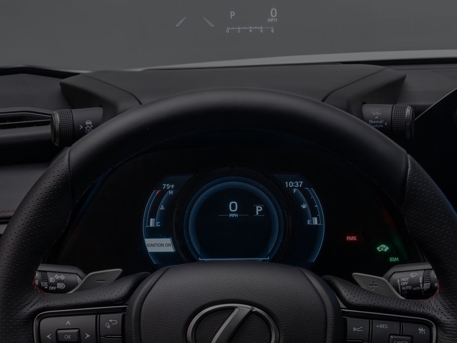 Lexus UX Steering Wheel and Cluster